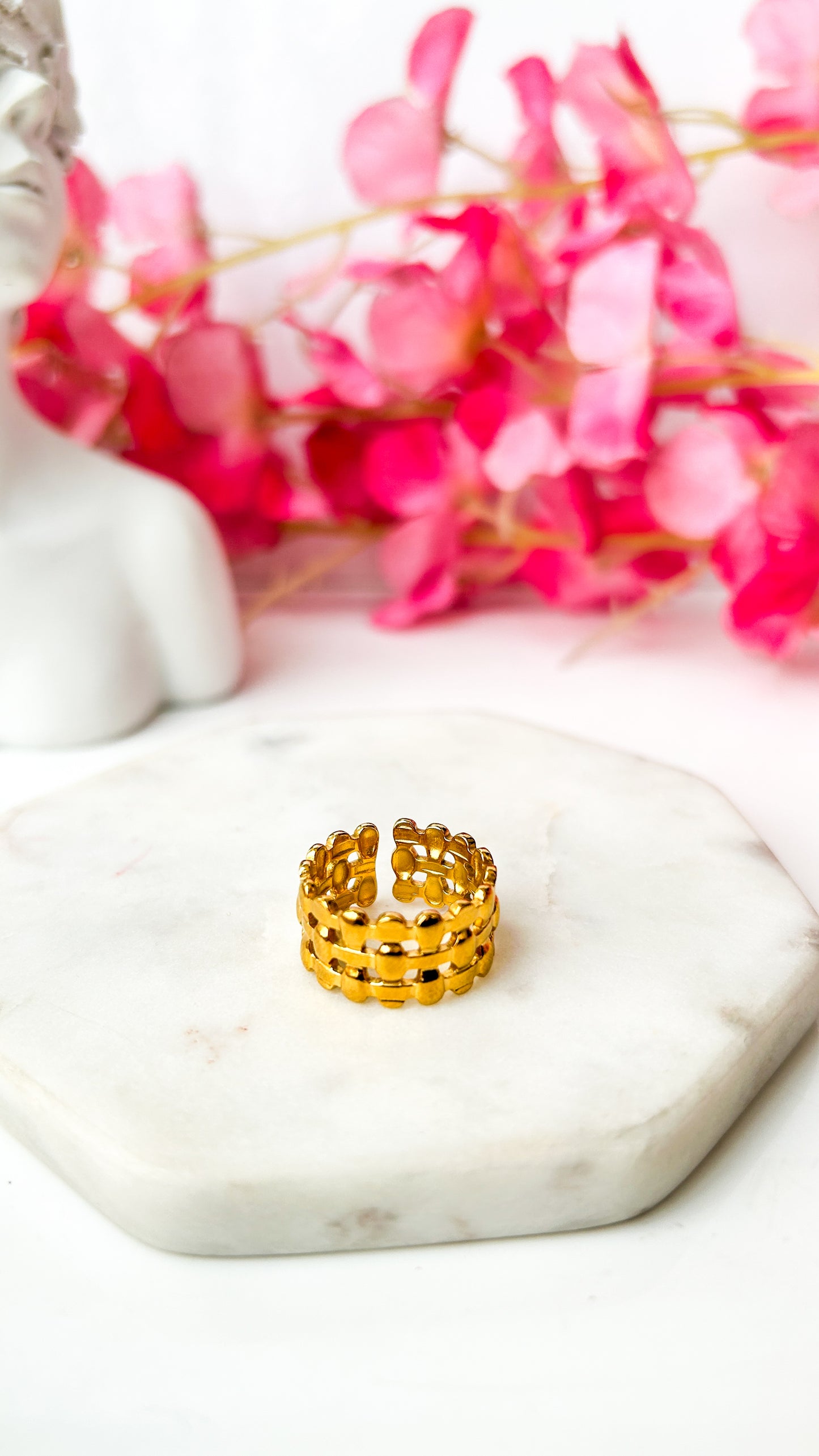 Over the fence adjustable ring