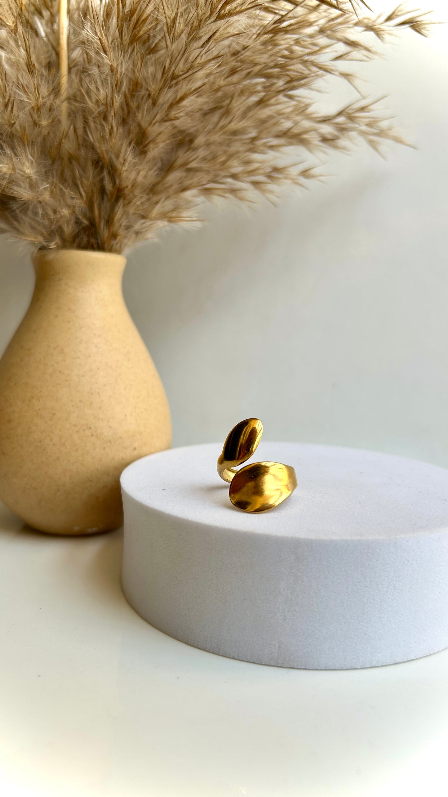 Double ball ring adjustable