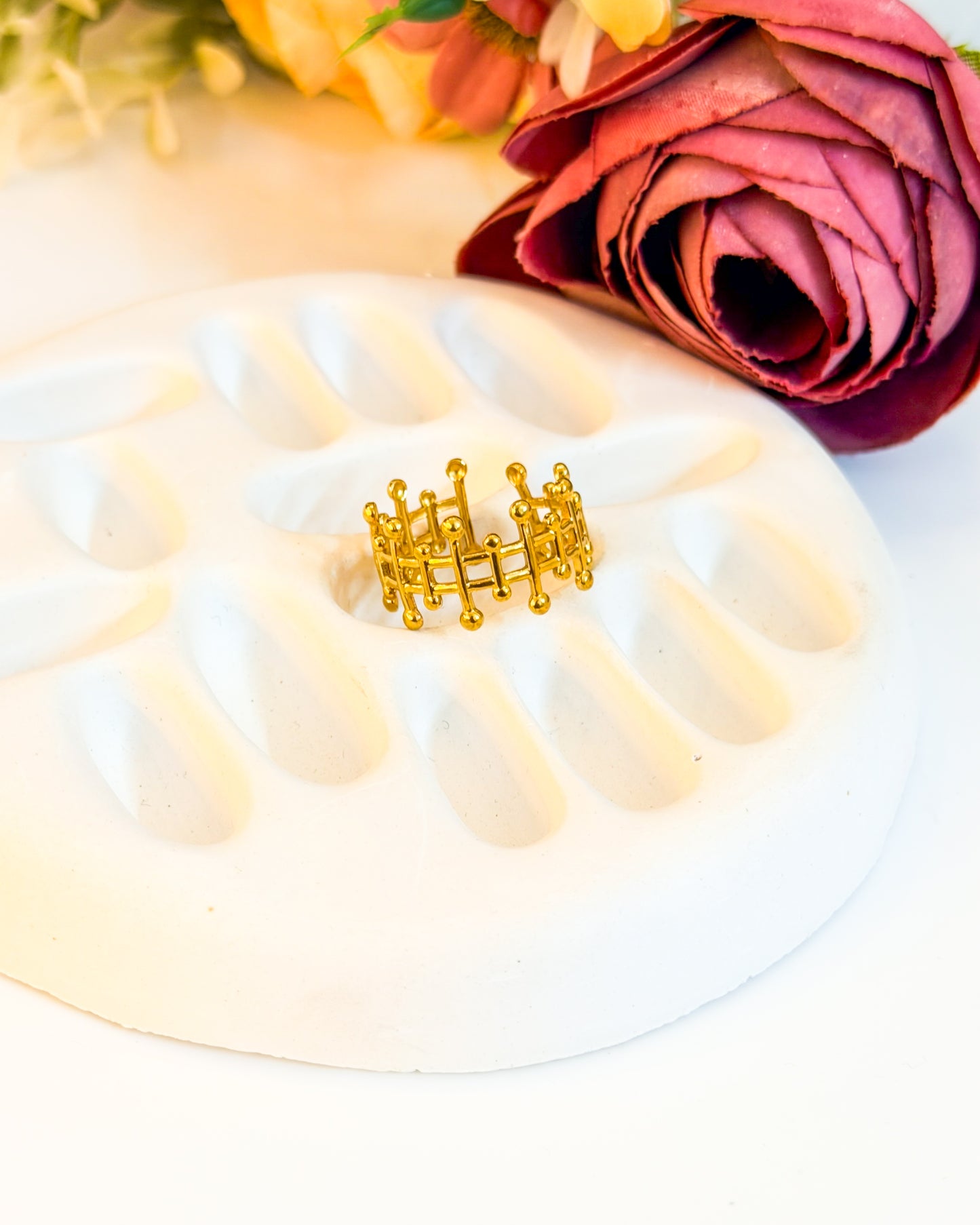 Over the fence adjustable ring