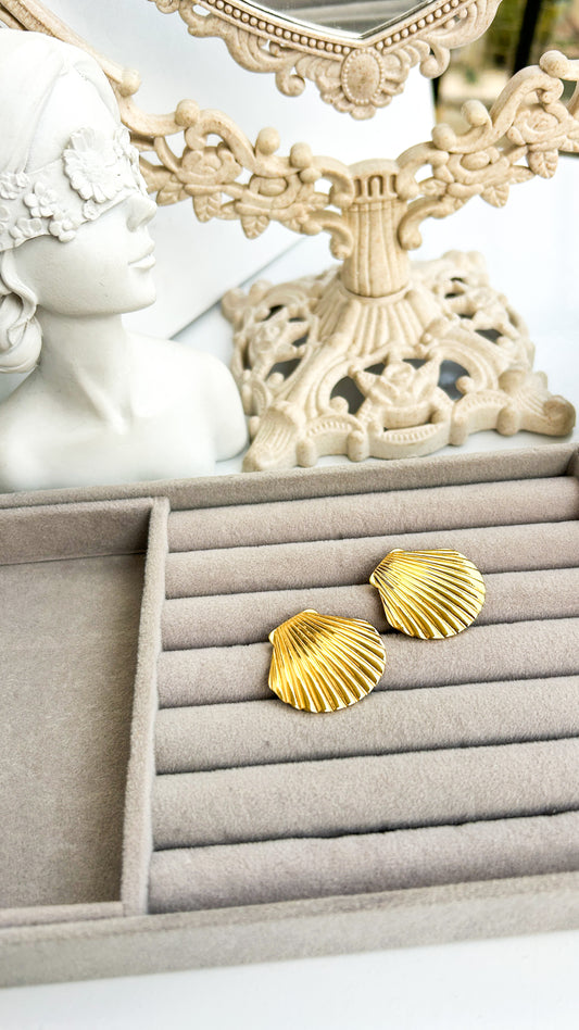Shell earrings