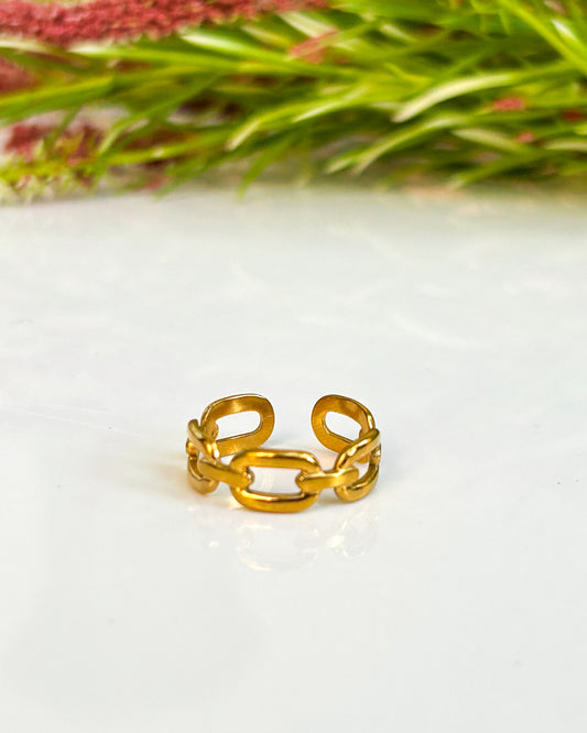Paper clip ring