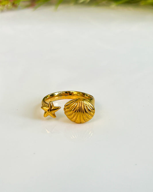 Solid shell adjustable ring