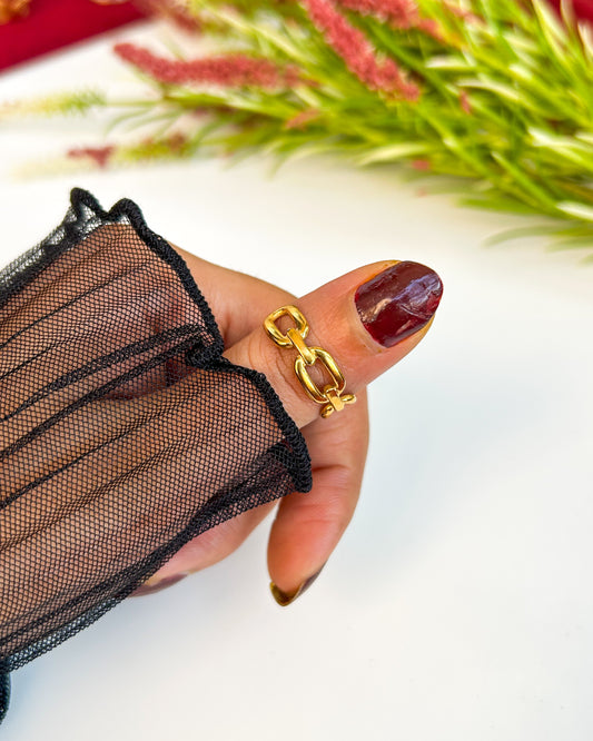 Paper clip ring