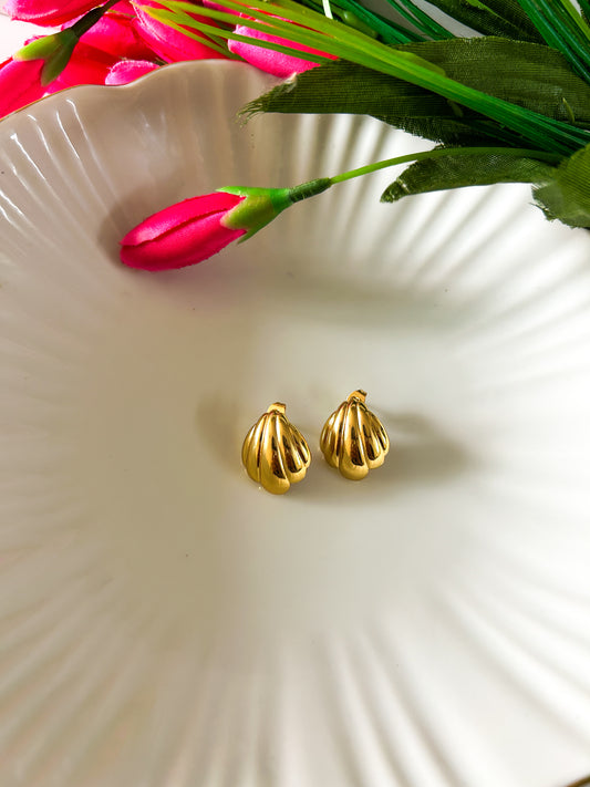 Small shell studs