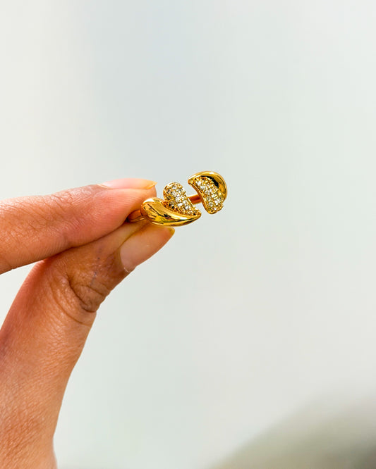 Dual heart adjustable ring